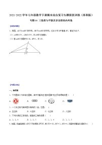 专题03 三角形与平移及多边形的内外角-2021-2022学年七年级数学下册期末综合复习专题提优训练（苏科版）