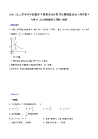 专题09 反比例函数及其图象与性质-2021-2022学年八年级数学下册期末综合复习专题提优训练（苏科版）