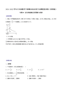专题09 反比例函数及其图象与性质-2021-2022学年八年级数学下册期末综合复习专题提优训练(苏科版)