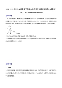 专题11 反比例函数的实际应用问题-2021-2022学年八年级数学下册期末综合复习专题提优训练（苏科版）