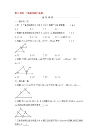 (通用版)中考数学一轮复习课后巩固练习17《三角形特殊三角形》(含答案)