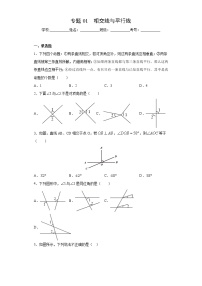 专题01 相交线与平行线-2021-2022学年七年级数学下册期末复习精选精练（人教版）