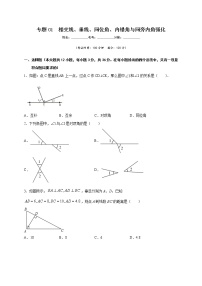 专题01 相交线、垂线、同位角、内错角与同旁内角强化-2021-2022学年七年级数学下学期期中专项复习（人教版）