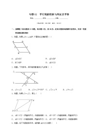 专题02 平行线的性质与判定及平移-2021-2022学年七年级数学下学期期中专项复习（人教版）