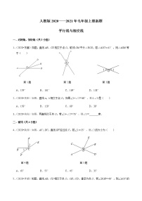 考点01 平行线与相交线-2021-2022学年七年级数学下册中考真题专项汇编之期末重难考点训练（人教版）