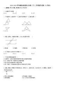 2018-2019学年湖北省某校七年级（下）月考数学试卷（3月份）