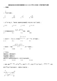 湖北省武汉市某校卓越联盟2018-2019学年七年级5月联考数学试题