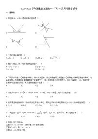 2020-2021学年湖北省某校初一（下）5月月考数学试卷