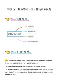 特训09  用不等式（组）解决实际问题-2021-2022学年七年级数学下册“各章步步为赢”特训方案（人教版）