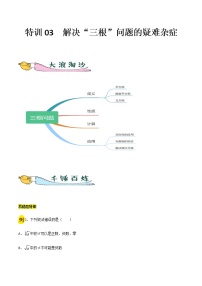 特训03  解决“三根”问题的疑难杂症-2021-2022学年七年级数学下册“各章步步为赢”特训方案（人教版）