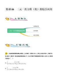 特训06  二元一次方程（组）的综合应用-2021-2022学年七年级数学下册“各章步步为赢”特训方案（人教版）练习题