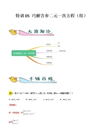 特训05  巧解含参二元一次方程（组）-2021-2022学年七年级数学下册“各章步步为赢”特训方案（人教版）练习题