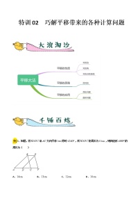 特训02  巧解平移带来的各种计算问题-2021-2022学年七年级数学下册“各章步步为赢”特训方案（人教版）