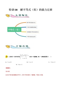 特训08  解不等式（组）的能力迁移-2021-2022学年七年级数学下册“各章步步为赢”特训方案（人教版）练习题