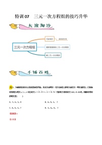 特训07  三元一次方程组的技巧升华-2021-2022学年七年级数学下册“各章步步为赢”特训方案（人教版）练习题