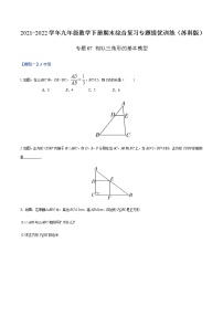 专题07 相似三角形的基本模型 -2021-2022学年九年级数学下册期末综合复习专题提优训练（苏科版）