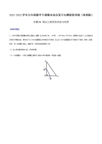 专题08 相似三角形的判定与性质 -2021-2022学年九年级数学下册期末综合复习专题提优训练（苏科版）