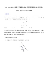 专题09 相似三角形中的动点问题 -2021-2022学年九年级数学下册期末综合复习专题提优训练（苏科版）