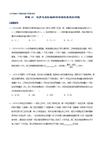 专题09 设多元未知数解决情景较复杂的问题-2021-2022学年七年级数学下册解法技巧思维培优（人教版）