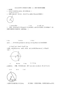 2020-2021学年人教版九年级数学上册期末专题训练圆