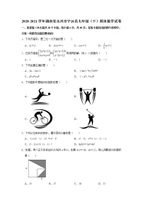 2021年湖南省永州市宁远县七年级下学期期末数学试卷（含答案解析）