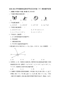 2021年湖南省岳阳市平江县七年级下学期期末数学试卷（含答案）