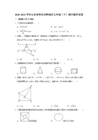 2021年山东省枣庄市峄城区九年级（下）期中数学试卷（无答案）