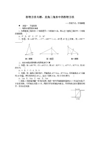 湘教版八下数学 思想方法专题：直角三角形中的思想方法