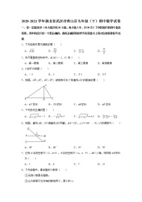 2021年湖北省武汉市青山区七年级下学期期中数学试题（有答案）