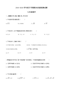 2020年山东省临沂市兰山区七年级下期末考试数学试卷+无答案