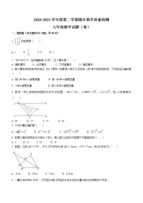 2021年陕西省宝鸡市眉县下学期七年级数学期末试题+无答案