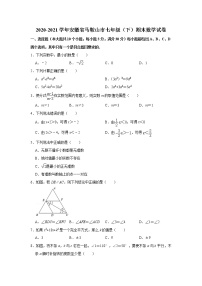 2021年安徽省马鞍山市七年级下学期期末考试数学试卷+无答案