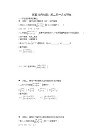 人教版七下数学 解题技巧专题：解二元一次方程组