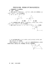 人教版七下数学 思想方法专题：相交线与平行线中的思想方法