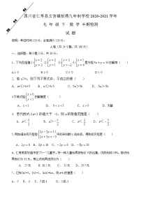 2021年四川省仁寿县文宫镇板燕九年制学校七年级下学期数学期中试题+答案