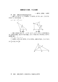 沪科版数学八下 解题技巧专题：中点问题