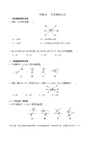 专题01 关系角的认识-2021-2022学年七年级数学下学期期末高频考点专题突破（人教版）