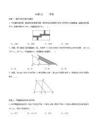 专题12 平移-2021-2022学年七年级数学下学期期末高频考点专题突破（人教版）