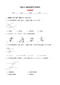 专题06 探索直线平行的条件（专题测试）-2021-2022学年七年级数学下册期末考点大串讲（北师大版）