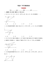 专题07 平行线的性质（专题测试）-2021-2022学年七年级数学下册期末考点大串讲（北师大版）