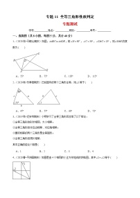 专题11 全等三角形性质判定（专题测试）-2021-2022学年七年级数学下册期末考点大串讲（北师大版）