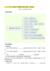 专题1.2相交线与平行线（精讲精练）-2021-2022学年七年级数学下学期期中考试高分直通车【北师大版】