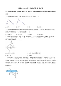 专题4.2-5全等三角形的性质及应用（测试） -简单数学之2021-2022学年七年级下册同步讲练（北师大版）