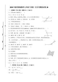 新苏教版数学七年级下册第一次月考模拟试卷（含答案）