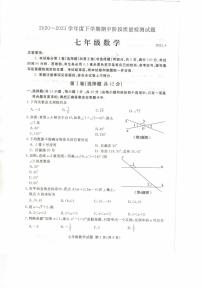 山东省临沂市兰山区2020-2021学年下学期七年级数学期中检测题（图片版无答案）