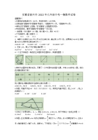 安徽省宿州市2022年九年级中考一模数学试卷（word版含答案）