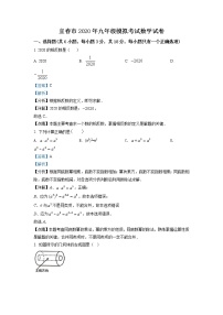 2020年江西省宜春市中考一模数学试题（含解析）