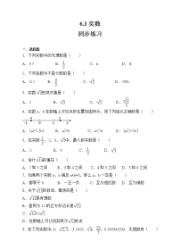 人教版七年级下册6.3 实数课后测评