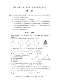 2022广东省深圳市初三一模数学试卷及答案