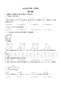 2022年安徽省宿州市九年级中考一模数学试卷（word版含答案）